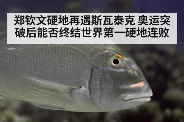 郑钦文硬地再遇斯瓦泰克 奥运突破后能否终结世界第一硬地连败