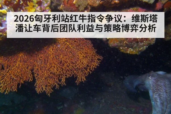 2026匈牙利站红牛指令争议:维斯塔潘让车背后团队利益与策略博弈分析